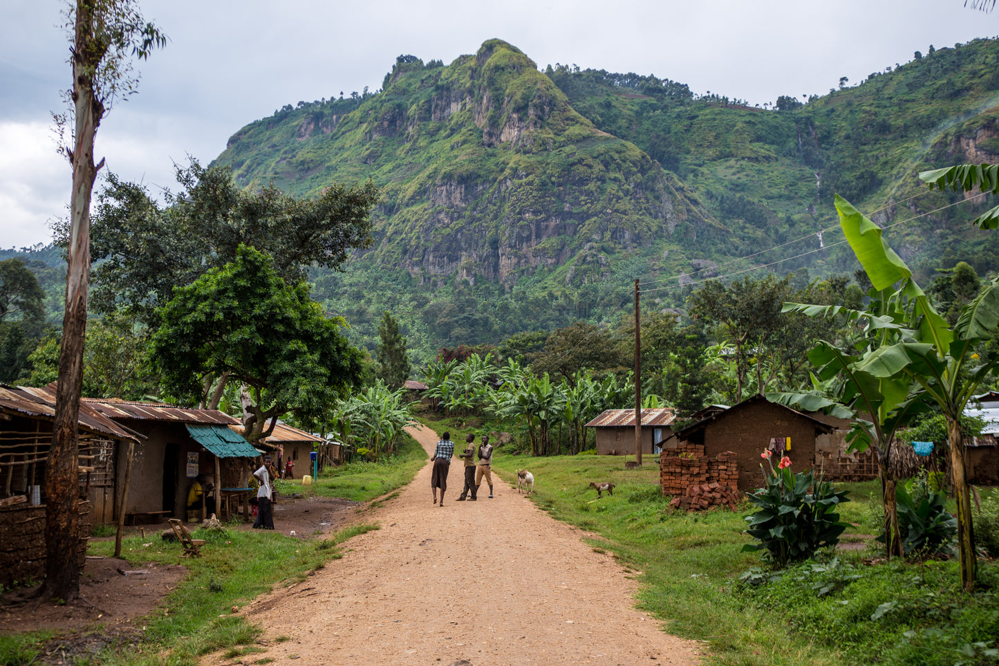 Cooperativa Miale Tubana Uganda